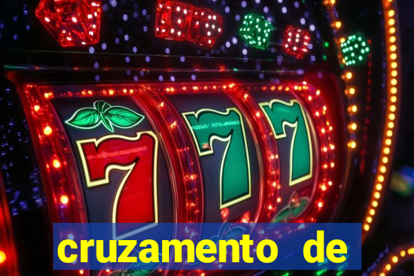 cruzamento de cavalo com jumenta globo rural