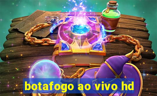 botafogo ao vivo hd