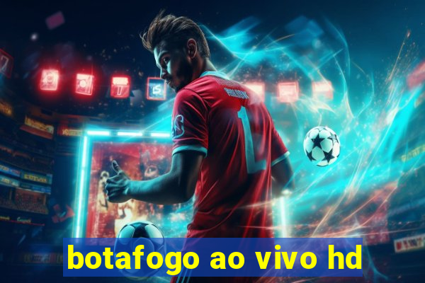 botafogo ao vivo hd