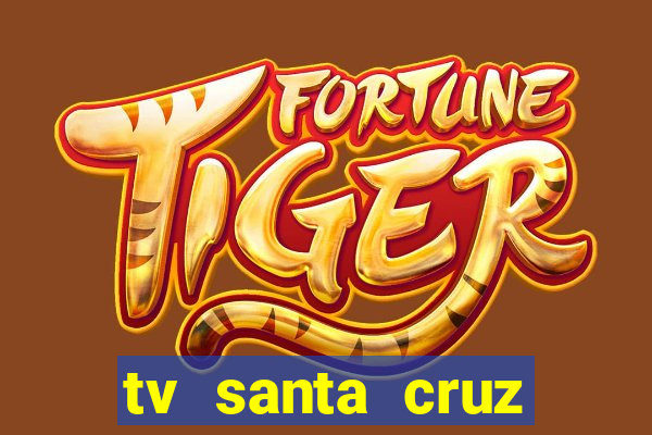 tv santa cruz bahia meio dia ao vivo