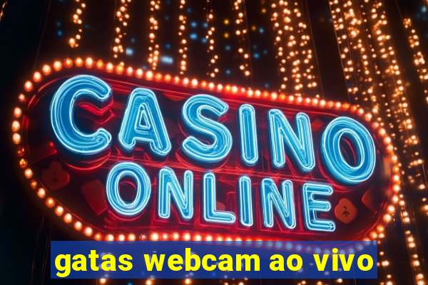 gatas webcam ao vivo