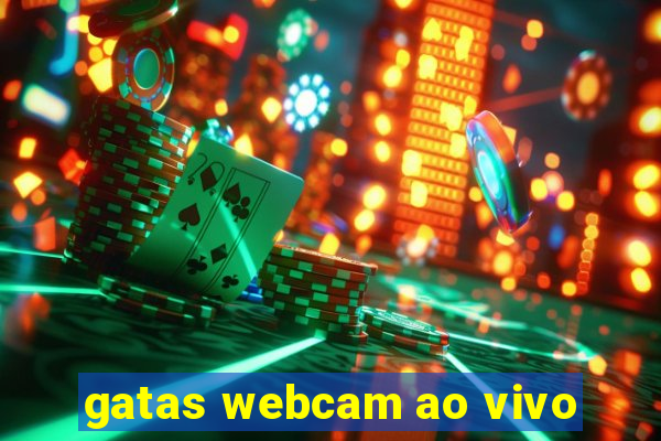 gatas webcam ao vivo