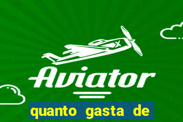 quanto gasta de gasolina de bh a porto seguro