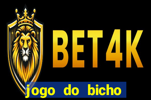 jogo do bicho crash bingo