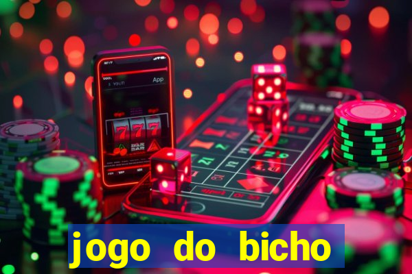 jogo do bicho crash bingo