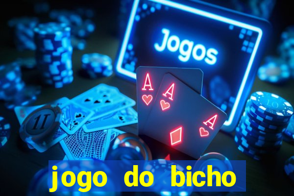 jogo do bicho crash bingo