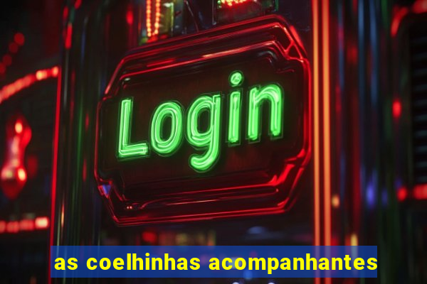 as coelhinhas acompanhantes