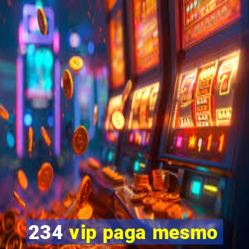 234 vip paga mesmo