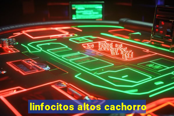 linfocitos altos cachorro