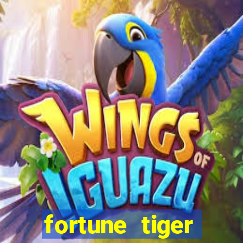 fortune tiger aposta 1 real