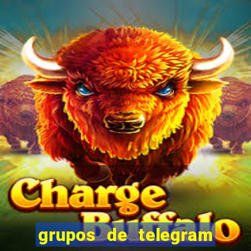 grupos de telegram mais 18