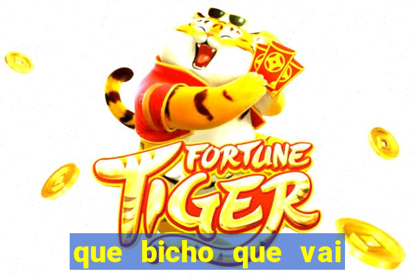 que bicho que vai dar hoje