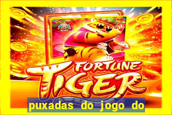 puxadas do jogo do bicho sueli