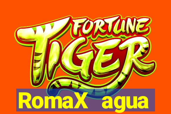 RomaX agua sanitaria fispq agua sanitaria romax