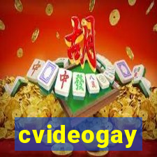 cvideogay