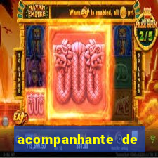 acompanhante de luxo agenda 31