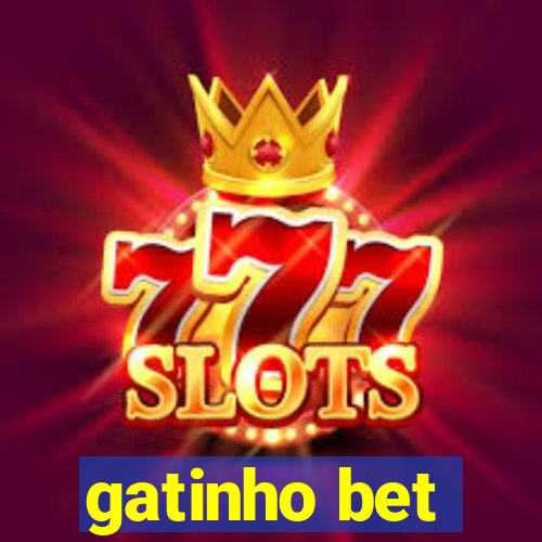 gatinho bet
