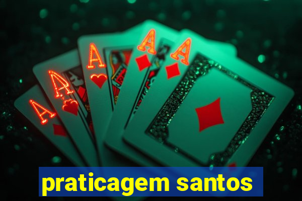 praticagem santos