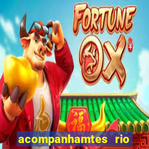 acompanhamtes rio de janeiro