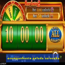 acompanhante peluda sorocaba