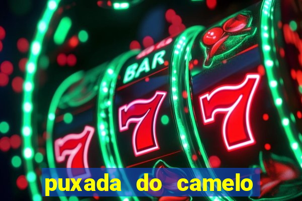 puxada do camelo no jogo do bicho