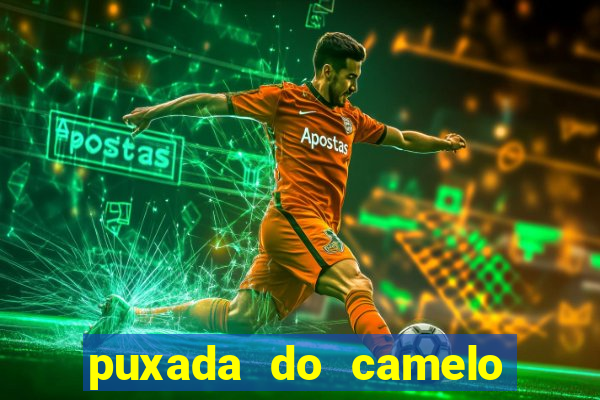 puxada do camelo no jogo do bicho