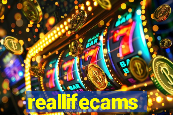 reallifecams