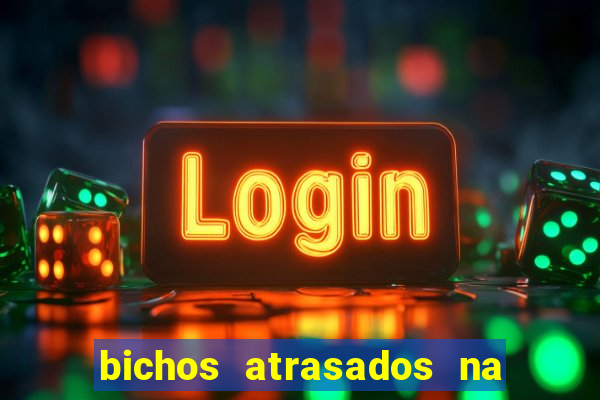 bichos atrasados na loteria federal