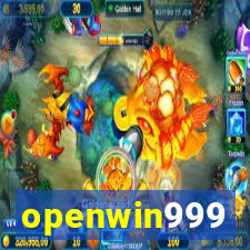 openwin999