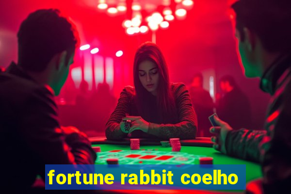 fortune rabbit coelho