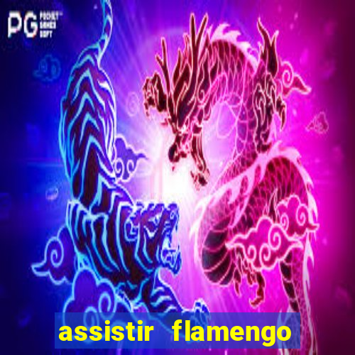 assistir flamengo futebol play hd