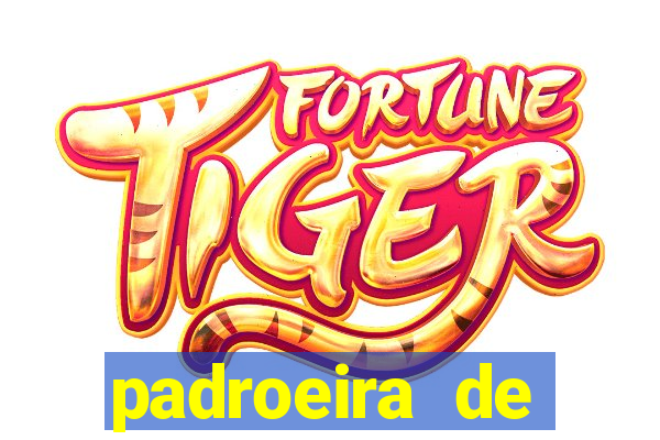 padroeira de cruzeiro sp