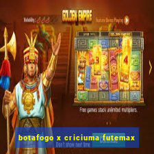 botafogo x criciuma futemax