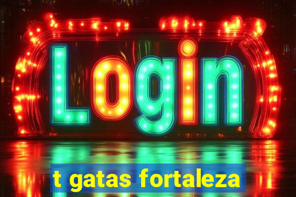 t gatas fortaleza