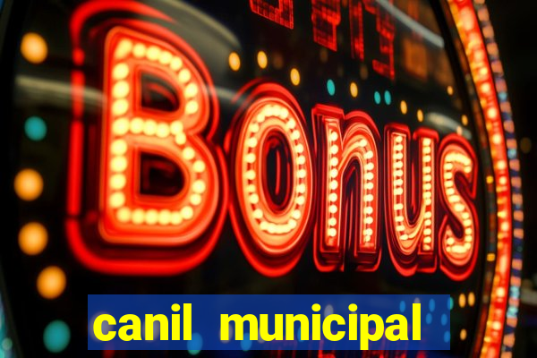 canil municipal porto alegre