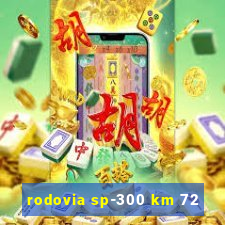 rodovia sp-300 km 72