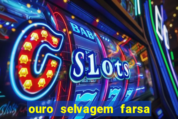 ouro selvagem farsa ouro selvagem o que aconteceu