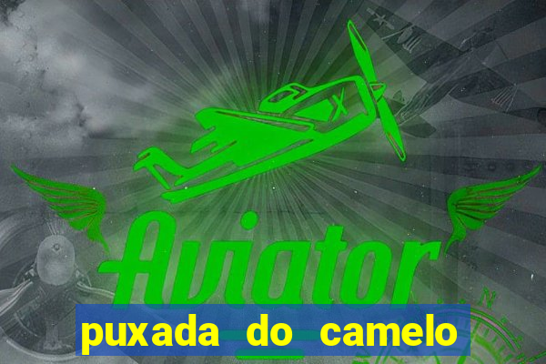 puxada do camelo jogo do bicho