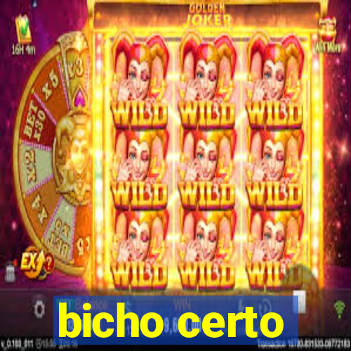 bicho certo