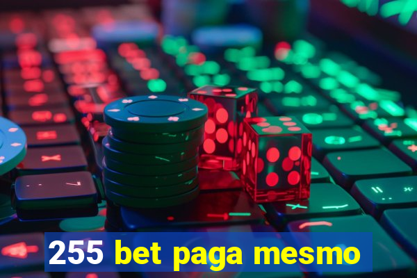 255 bet paga mesmo