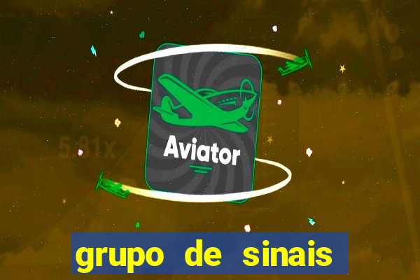 grupo de sinais trader telegram