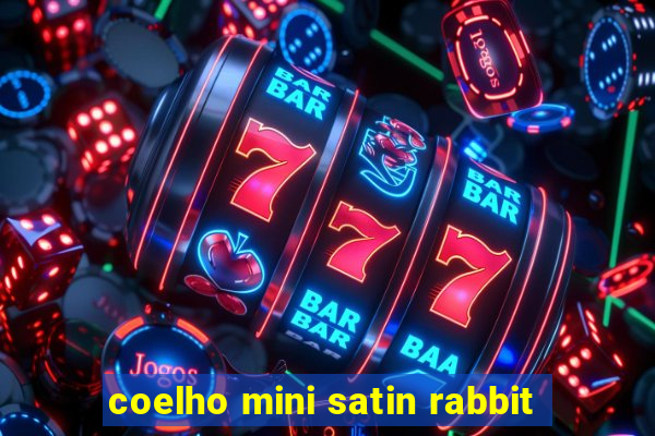 coelho mini satin rabbit