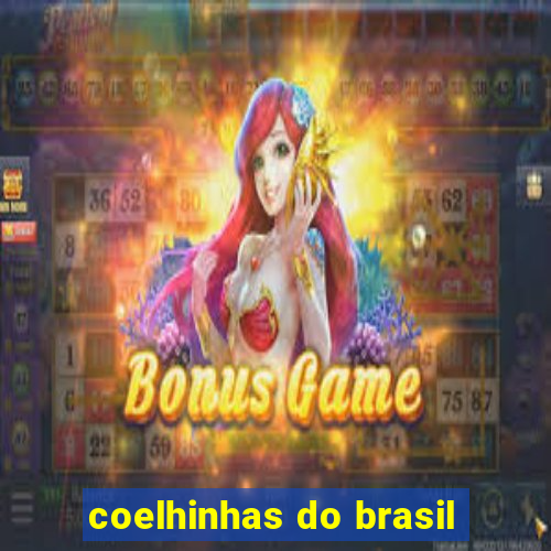 coelhinhas do brasil